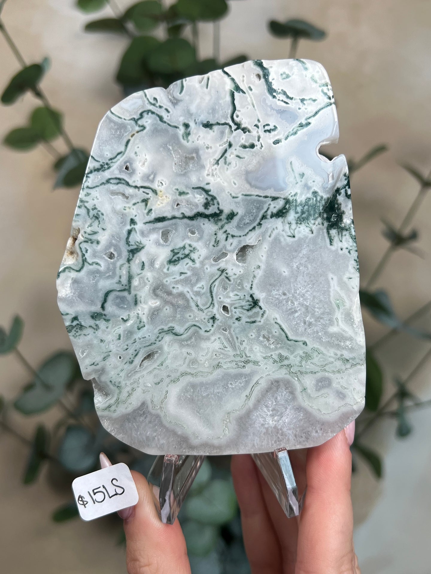 Moss Agate Slabs with Stands (6 options)